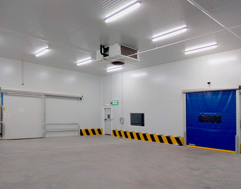 Wazo Packaging - Marruecos