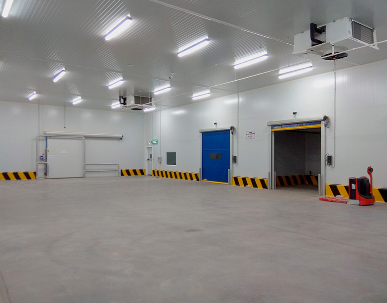 Wazo Packaging - Marruecos