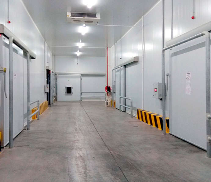 Wazo Packaging - Marruecos